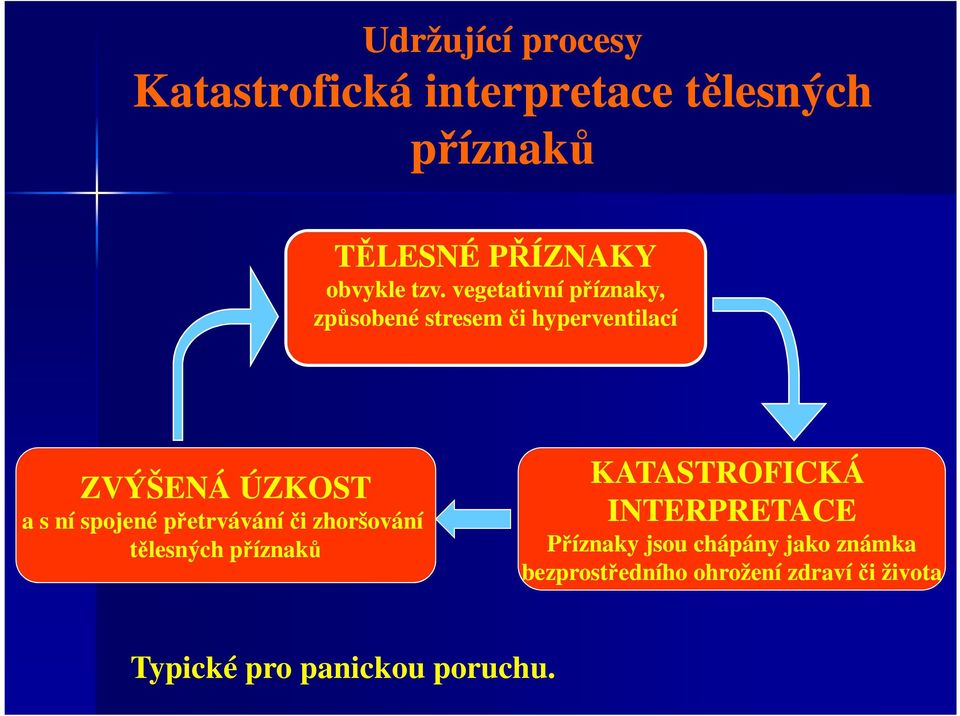 spojené přetrvávání či zhoršování tělesných příznaků KATASTROFICKÁ INTERPRETACE Příznaky