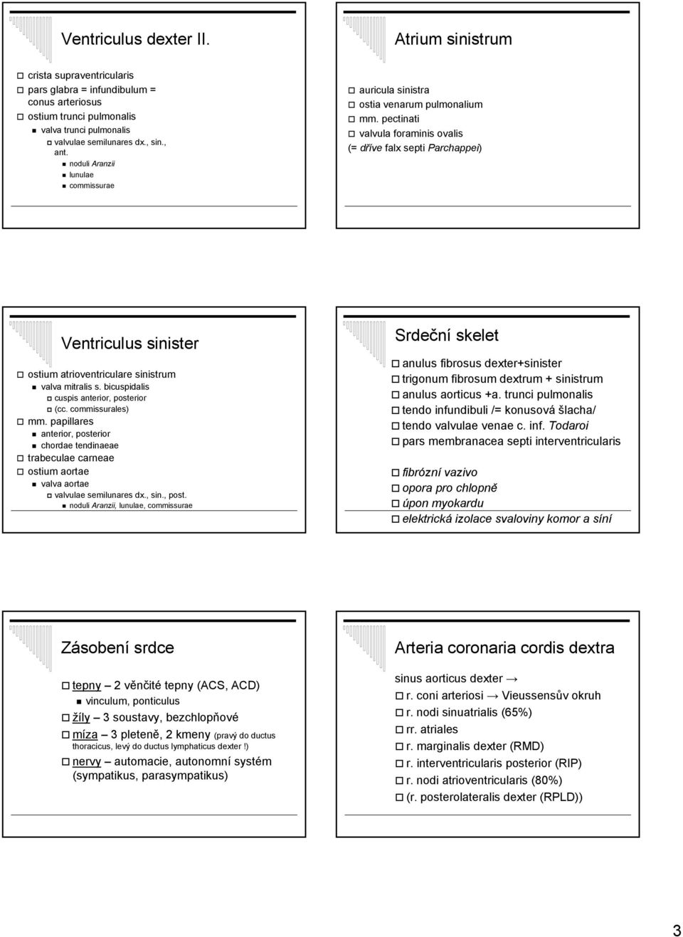 pectinati valvula foraminis ovalis (= dříve falx septi Parchappei) Ventriculus sinister ostium atrioventriculare sinistrum valva mitralis s. bicuspidalis cuspis anterior, posterior (cc.