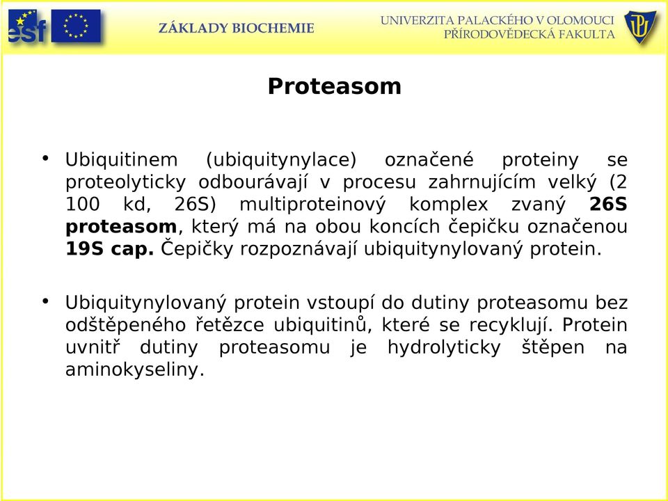 Čepičky rozpoznávají ubiquitynylovaný protein.