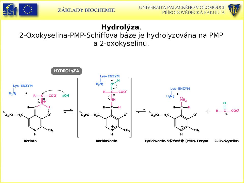 2oxokyselinu.