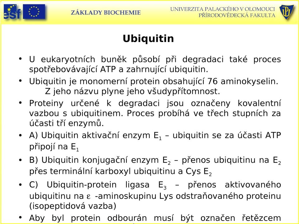 A) Ubiquitin aktivační enzym E 1 ubiquitin se za účasti ATP připojí na E 1 B) Ubiquitin konjugační enzym E 2 přenos ubiquitinu na E 2 přes terminální karboxyl ubiquitinu a