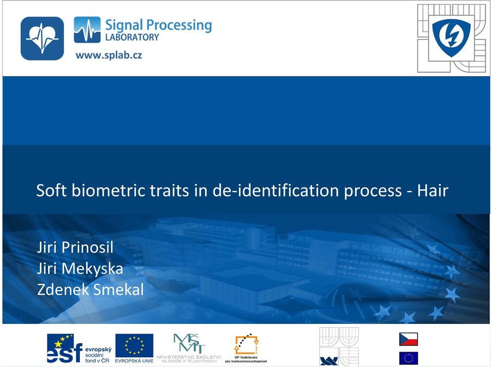 cz Soft biometric traits in de identification