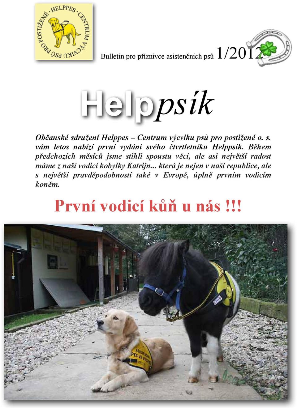 Během předchozích měsíců jsme stihli spoustu věcí, ale asi největší radost máme z naší vodicí kobylky