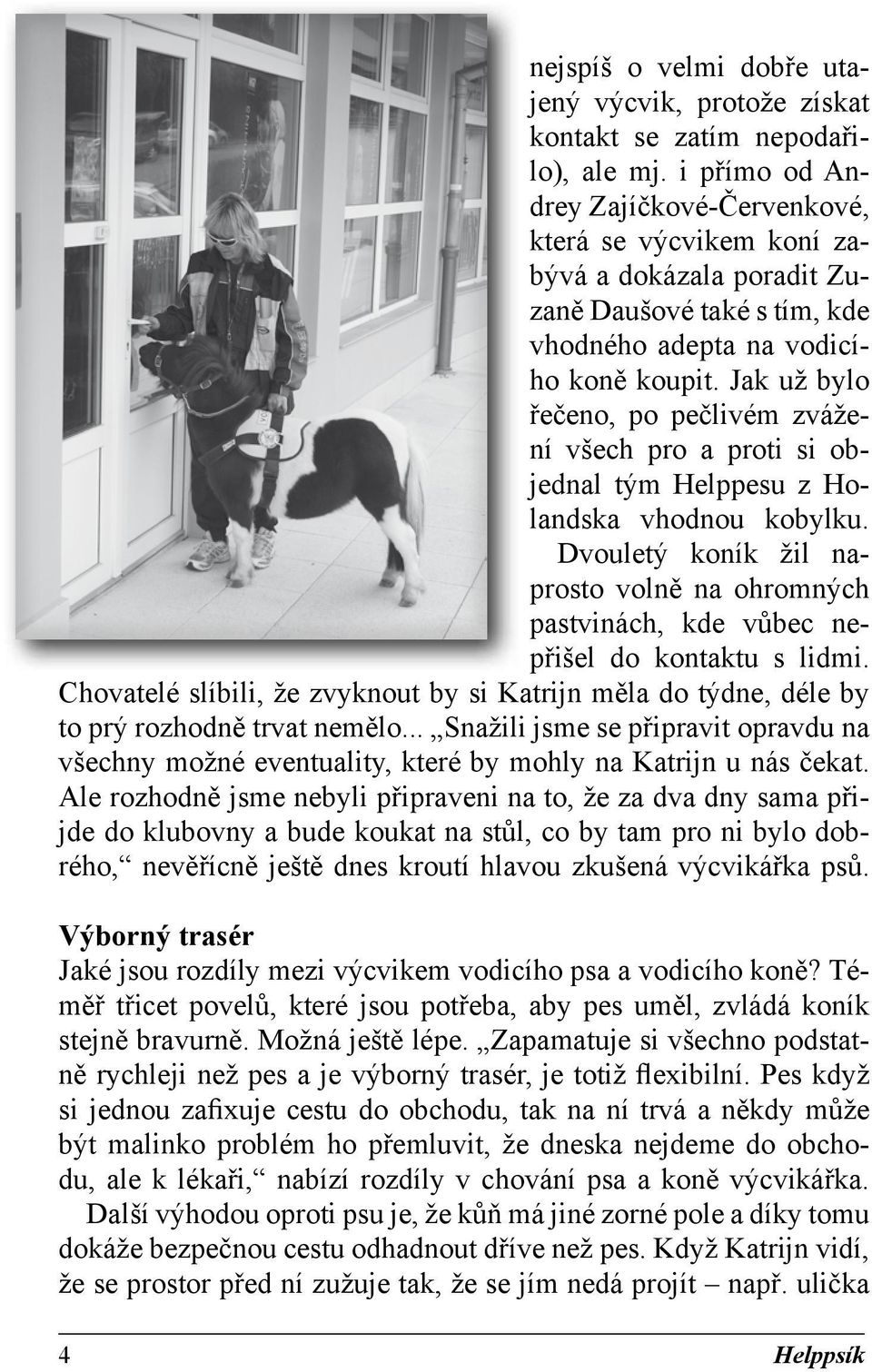 Jak už bylo řečeno, po pečlivém zvážení všech pro a proti si objednal tým Helppesu z Holandska vhodnou kobylku.
