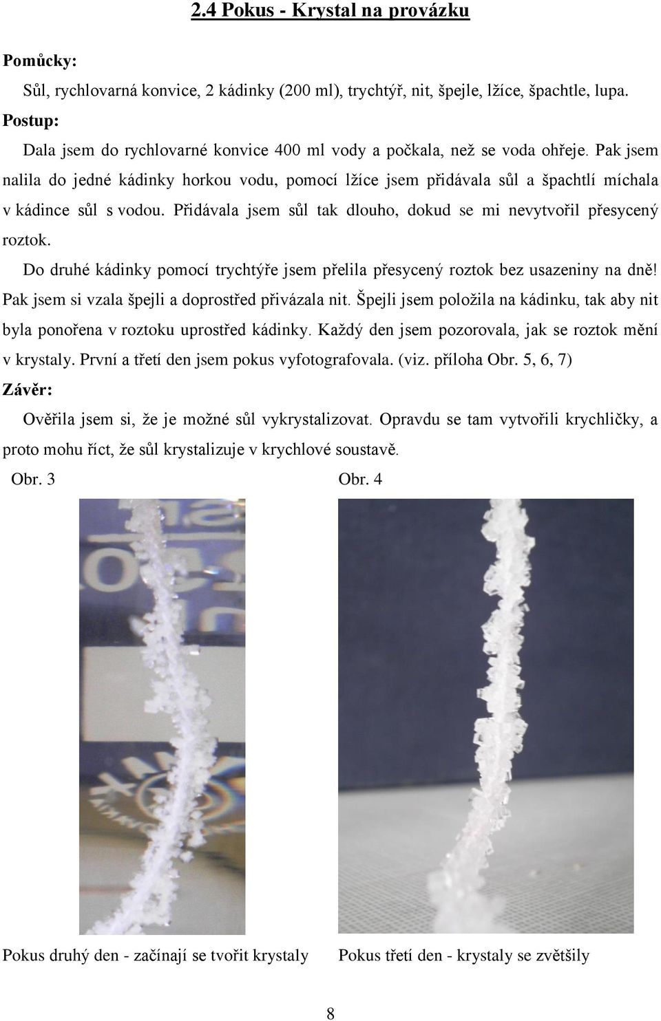 Pak jsem nalila do jedné kádinky horkou vodu, pomocí lžíce jsem přidávala sůl a špachtlí míchala v kádince sůl s vodou. Přidávala jsem sůl tak dlouho, dokud se mi nevytvořil přesycený roztok.