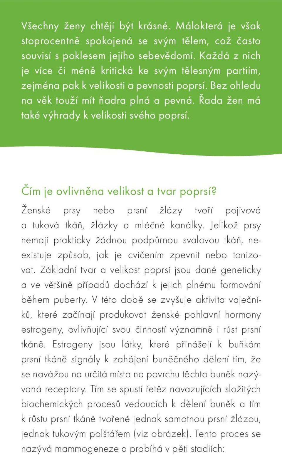 Řada žen má také výhrady k velikosti svého poprsí. Čím je ovlivněna velikost a tvar poprsí? Ženské prsy nebo prsní žlázy tvoří pojivová a tuková tkáň, žlázky a mléčné kanálky.