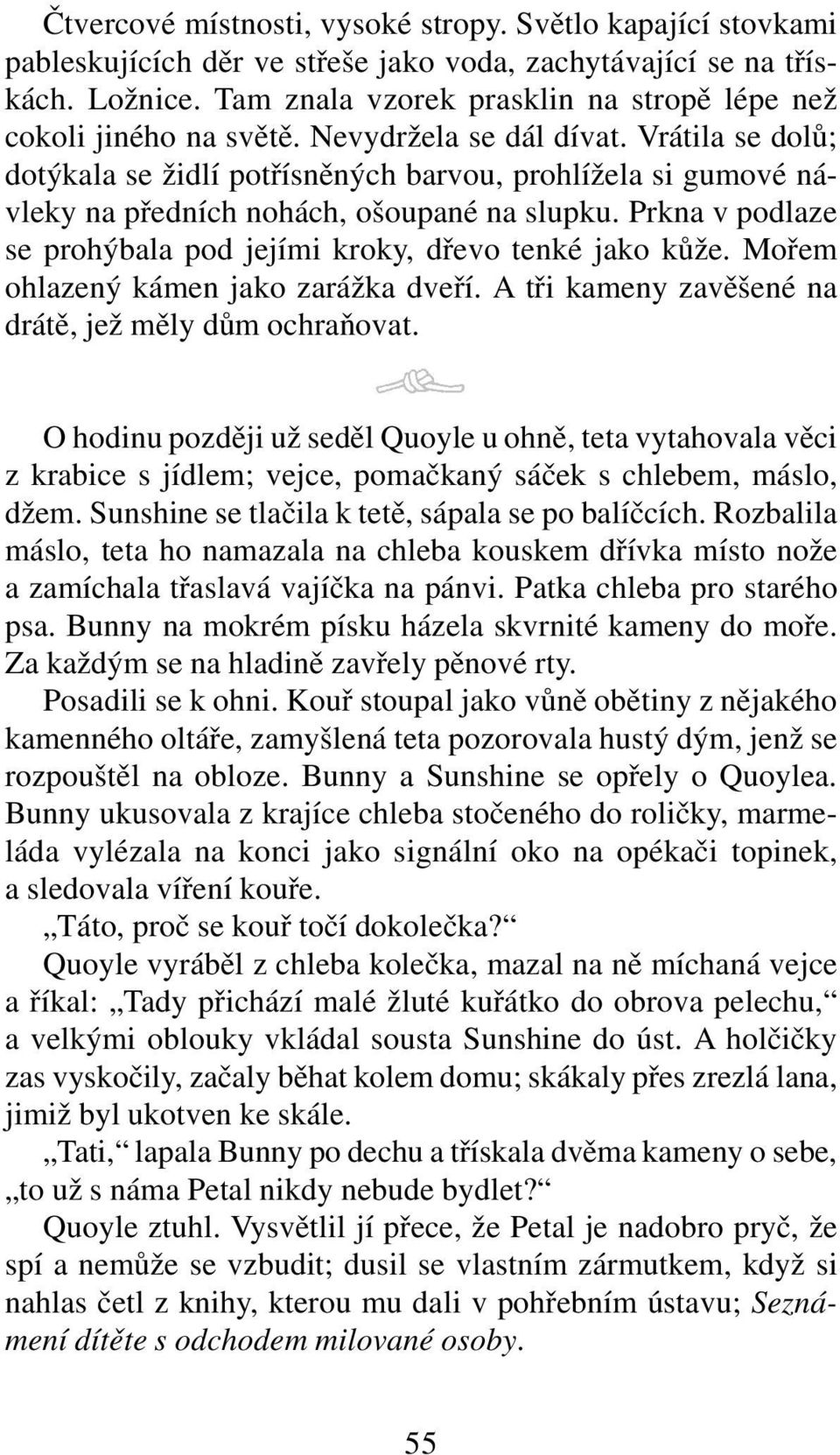 Vrátila se dolů; dotýkala se židlí potřísněných barvou, prohlížela si gumové návleky na předních nohách, ošoupané na slupku. Prkna v podlaze se prohýbala pod jejími kroky, dřevo tenké jako kůže.