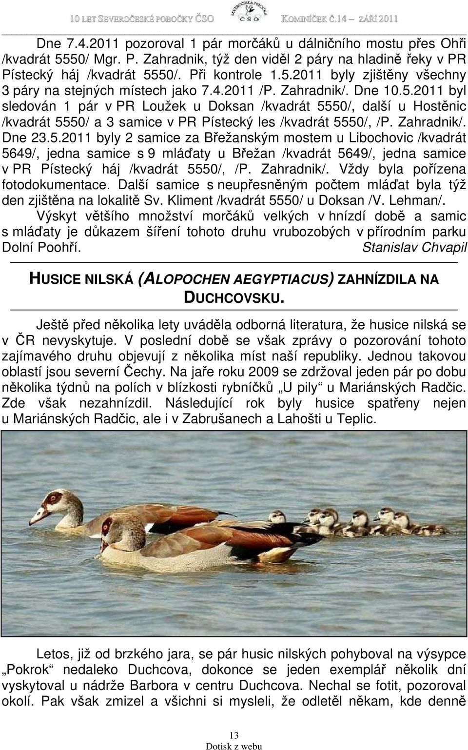 2011 byl sledován 1 pár v PR Loužek u Doksan /kvadrát 55