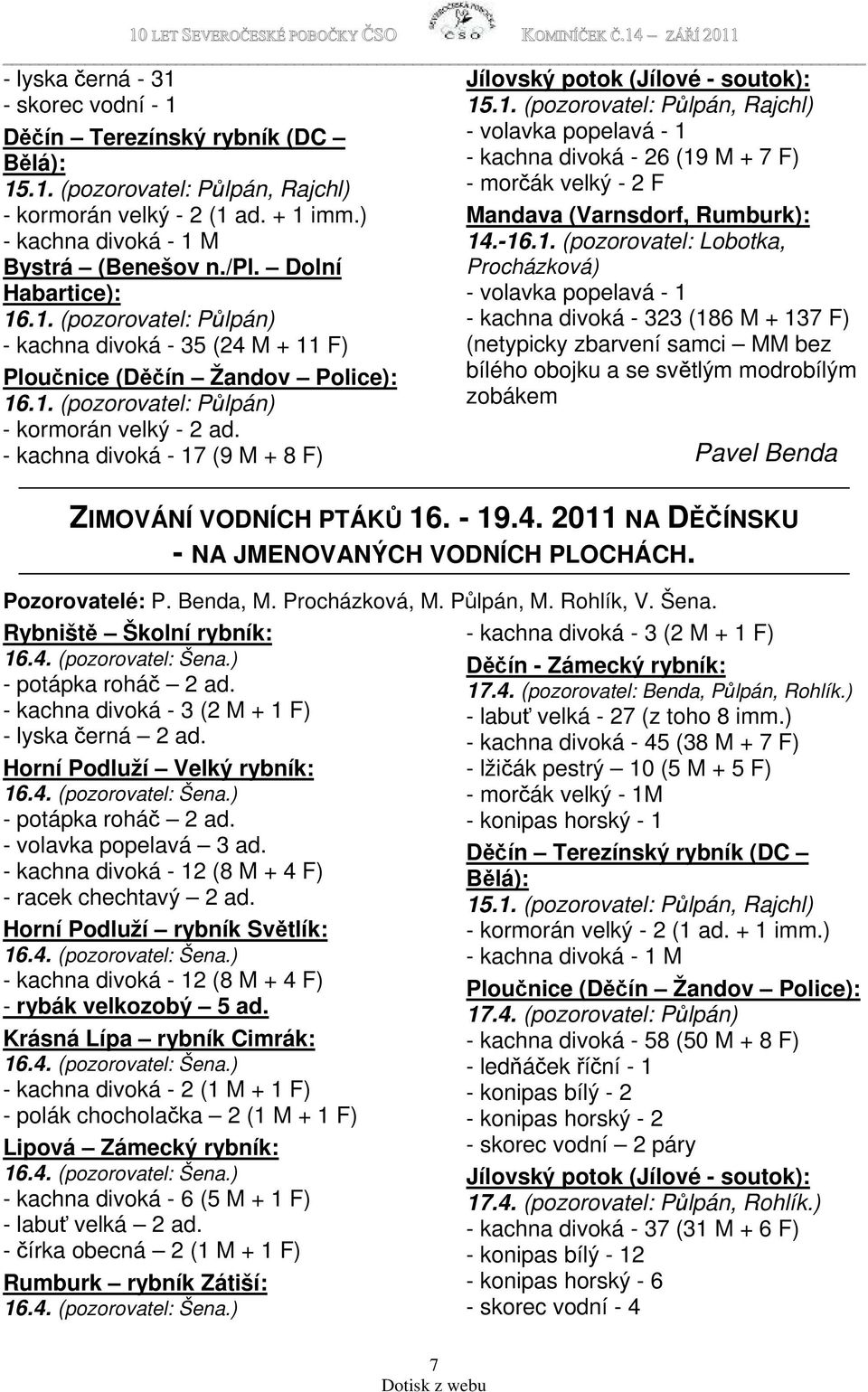 - kachna divoká - 17 (9 M + 8 F) Jílovský potok (Jílové - soutok): 15.1. (pozorovatel: Půlpán, Rajchl) - volavka popelavá - 1 - kachna divoká - 26 (19 M + 7 F) - morčák velký - 2 F Mandava (Varnsdorf, Rumburk): 14.