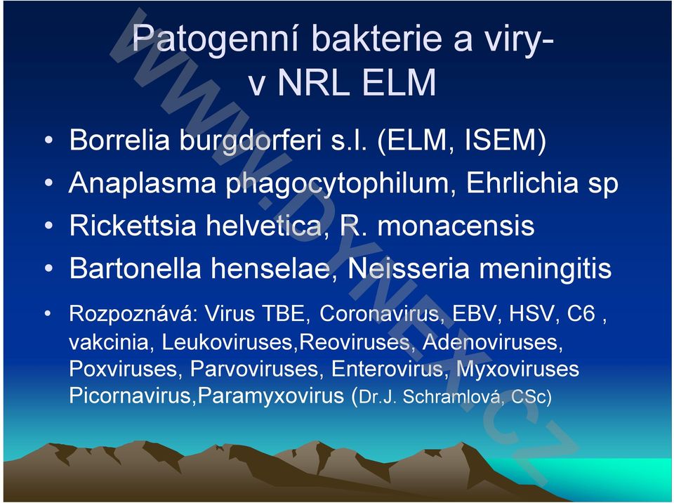 monacensis Bartonella henselae, Neisseria meningitis Rozpoznává: Virus TBE, Coronavirus, EBV, HSV,