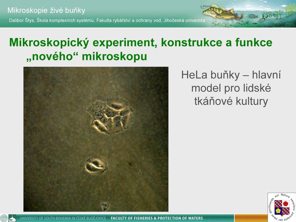 univerzita Mikroskopický experiment, konstrukce a funkce