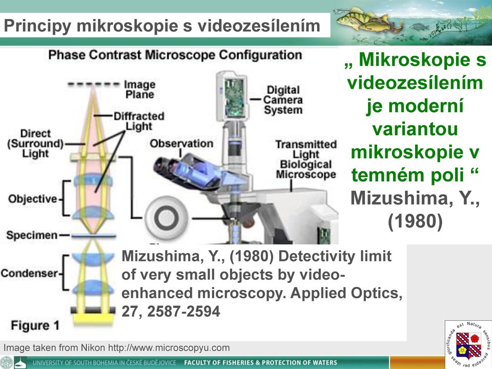 Applied Optics, 27, 2587-2594 Mikroskopie s videozesílením je moderní