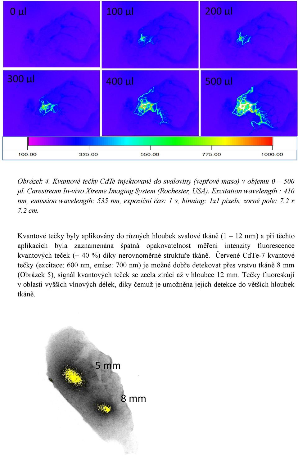 Kvantové tečky byly aplikovány do různých hloubek svalové tkáně (1 12 mm) a při těchto aplikacích byla zaznamenána špatná opakovatelnost měření intenzity fluorescence kvantových teček (± 40 %) díky