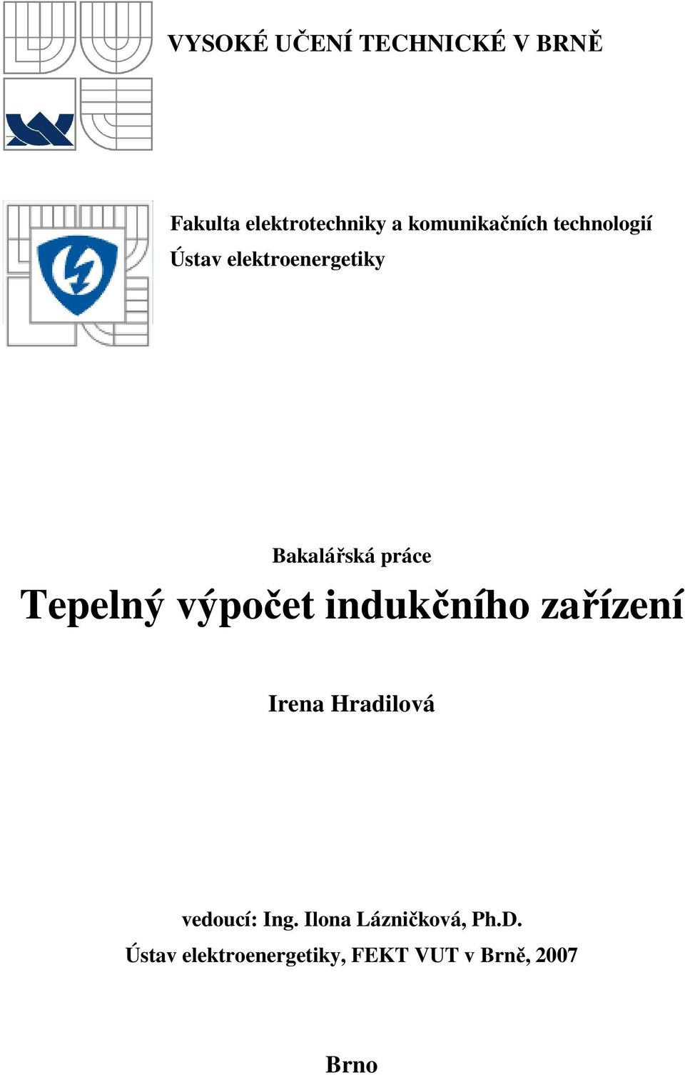 práce Tepelný výpočet indukčního zařízení Irena Hradilová