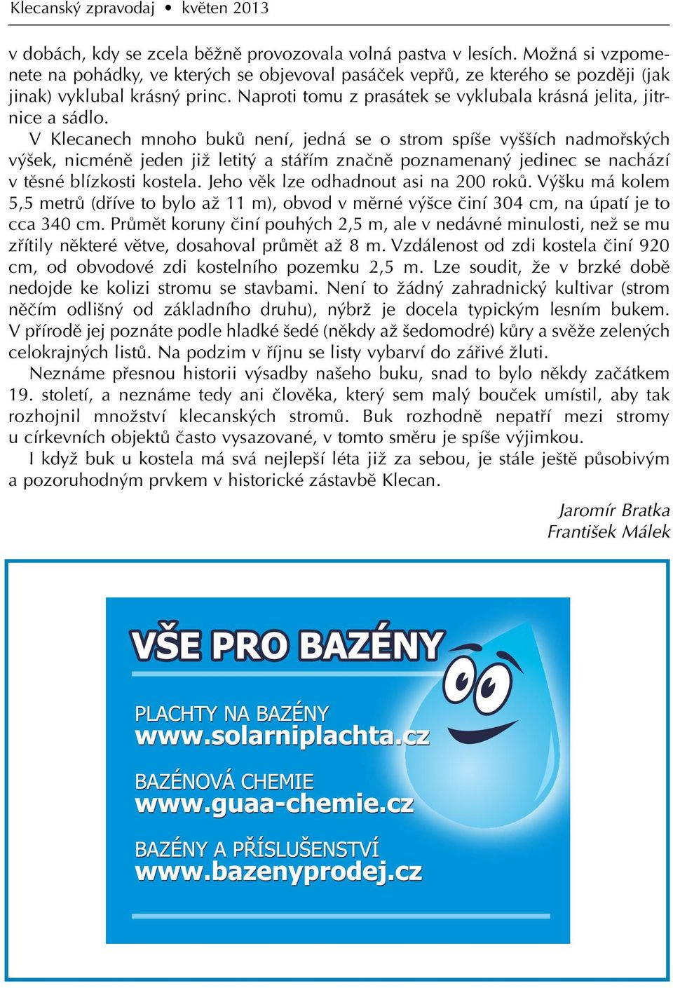 V Klecanech mnoho buků není, jedná se o strom spíše vyšších nadmořských výšek, nicméně jeden již letitý a stářím značně poznamenaný jedinec se nachází v těsné blízkosti kostela.