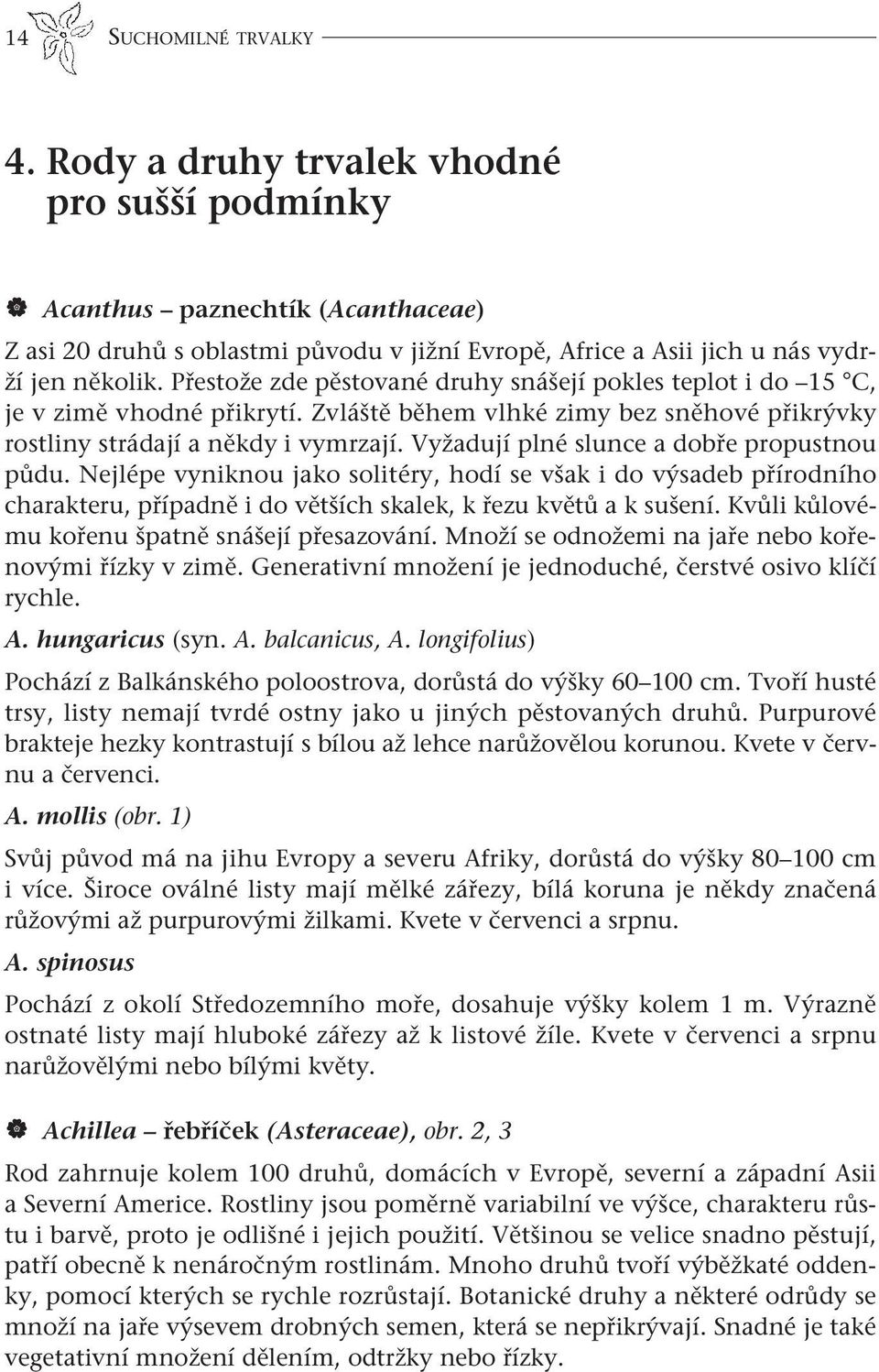 Vyžadují plné slunce a dobře propustnou půdu. Nejlépe vyniknou jako solitéry, hodí se však i do výsadeb přírodního charakteru, případně i do větších skalek, k řezu květů a k sušení.