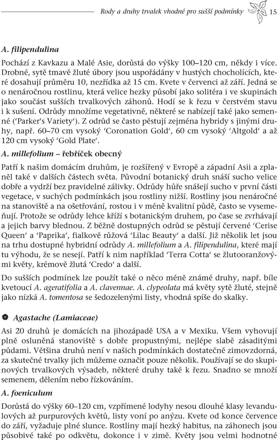 Jedná se o nenáročnou rostlinu, která velice hezky působí jako solitéra i ve skupinách jako součást sušších trvalkových záhonů. Hodí se k řezu v čerstvém stavu i k sušení.