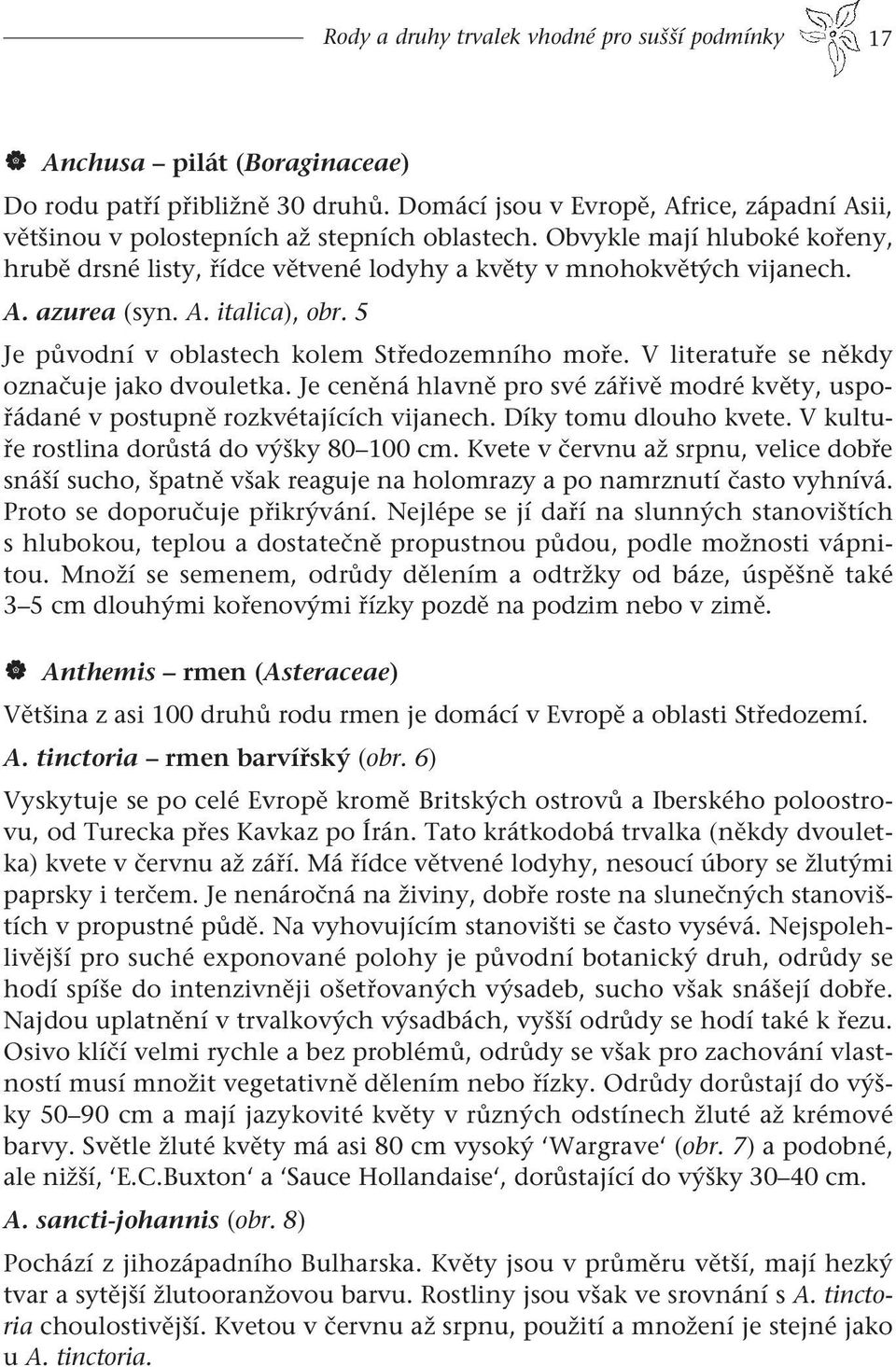 A. italica), obr. 5 Je původní v oblastech kolem Středozemního moře. V literatuře se někdy označuje jako dvouletka.