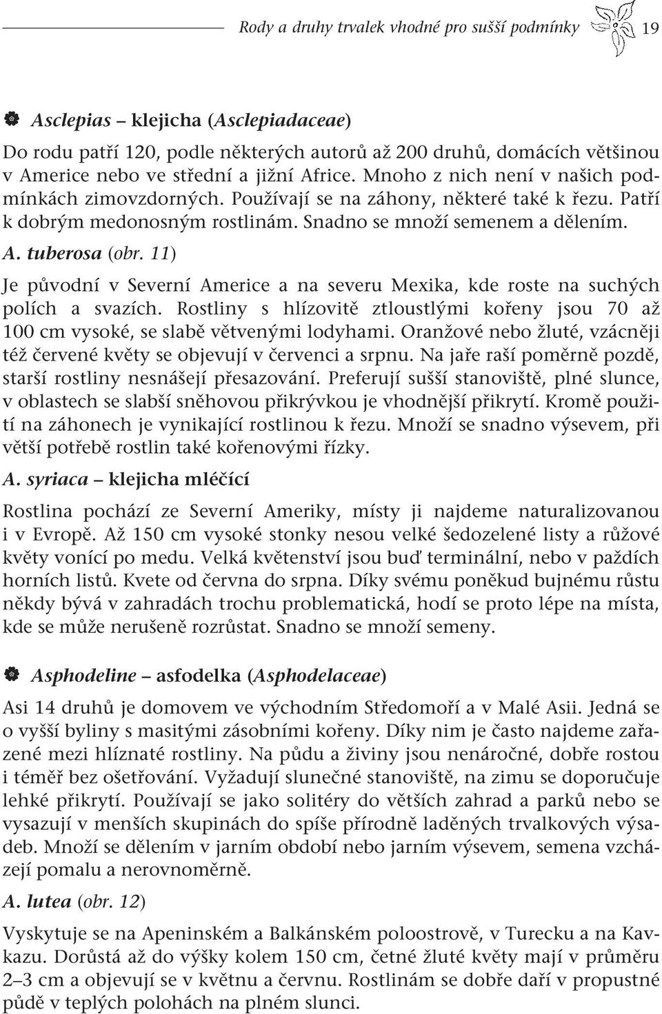 11) Je původní v Severní Americe a na severu Mexika, kde roste na suchých polích a svazích. Rostliny s hlízovitě ztloustlými kořeny jsou 70 až 100 cm vysoké, se slabě větvenými lodyhami.