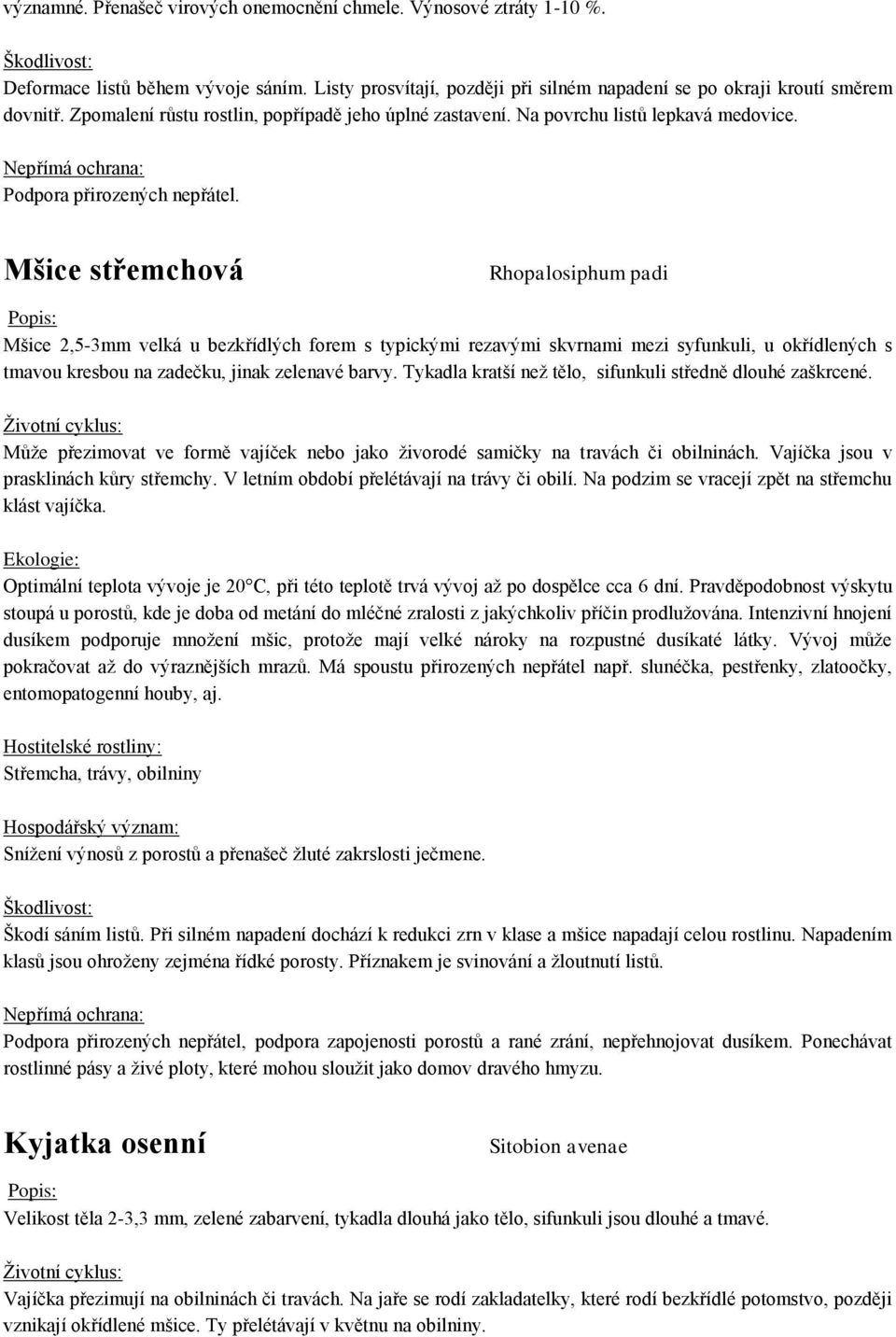 Mšice střemchová Rhopalosiphum padi Mšice 2,5-3mm velká u bezkřídlých forem s typickými rezavými skvrnami mezi syfunkuli, u okřídlených s tmavou kresbou na zadečku, jinak zelenavé barvy.