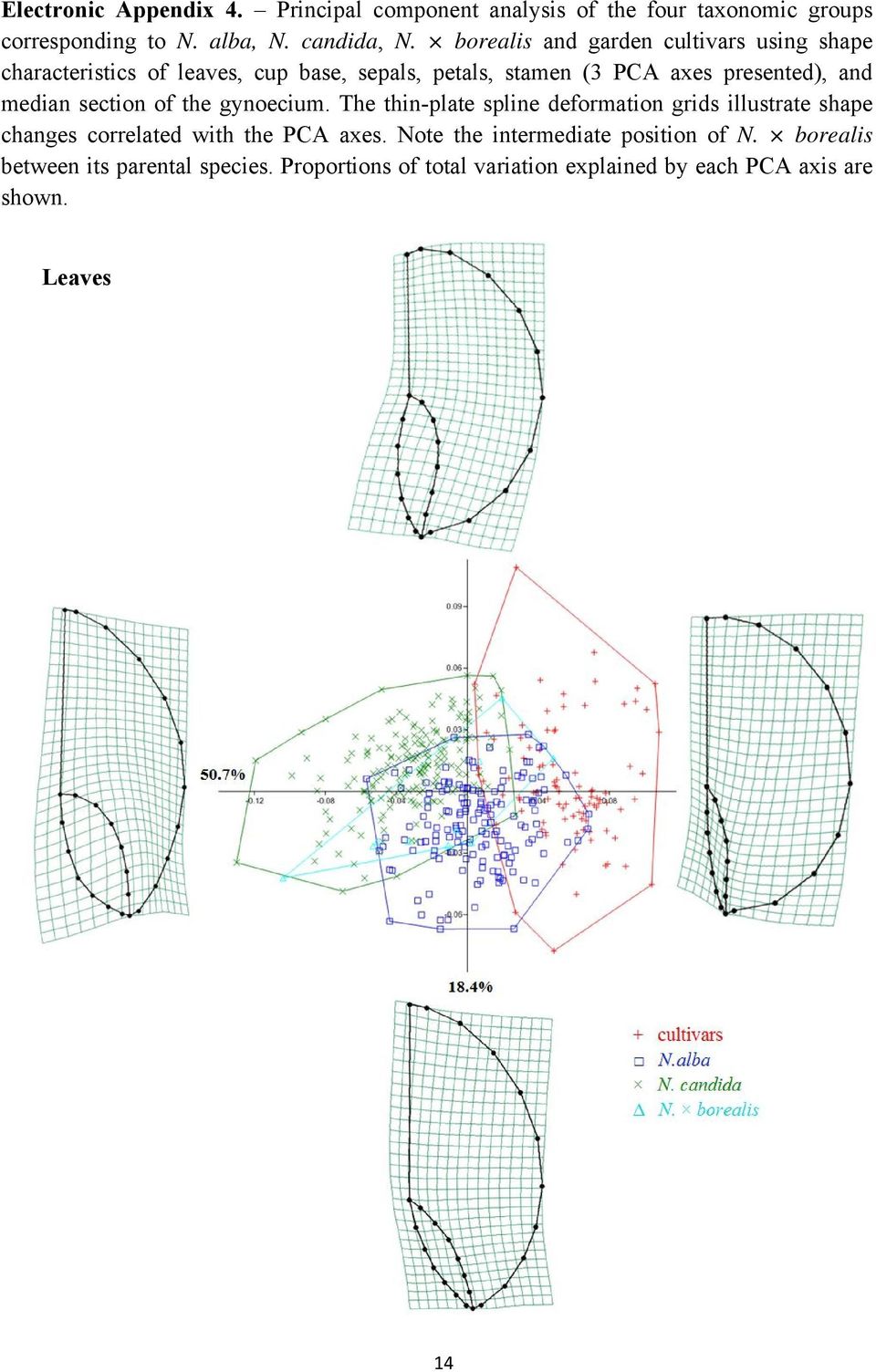 and median section of the gynoecium. The thin-plate spline deformation grids illustrate shape changes correlated with the PCA axes.