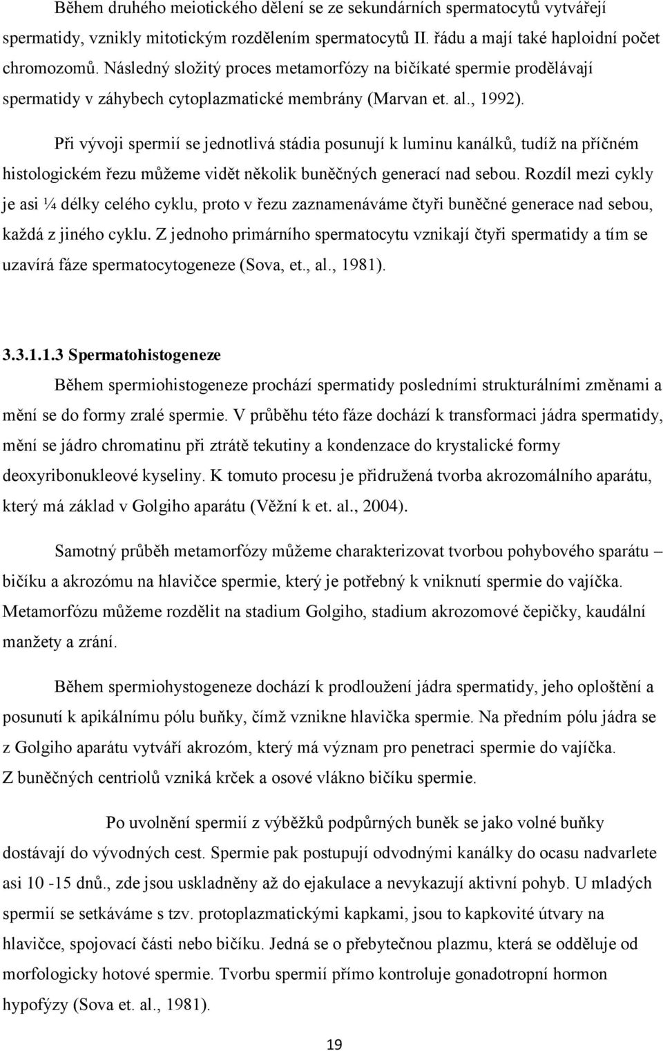 Při vývoji spermií se jednotlivá stádia posunují k luminu kanálků, tudíž na příčném histologickém řezu můžeme vidět několik buněčných generací nad sebou.