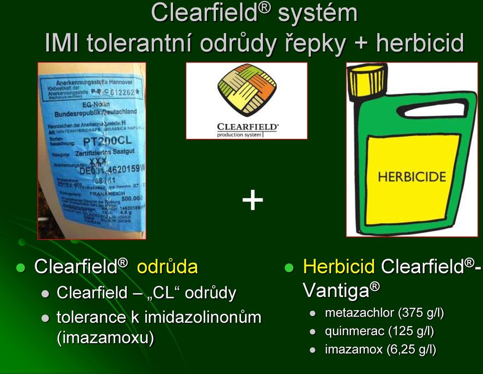 imidazolinonům (imazamoxu) Herbicid Clearfield - Vantiga