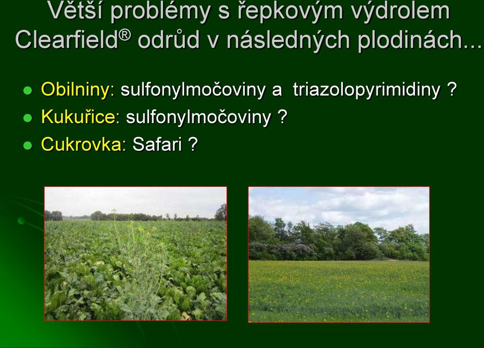 .. Obilniny: sulfonylmočoviny a