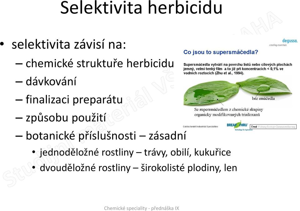 použití botanické příslušnosti zásadní jednoděložné rostliny