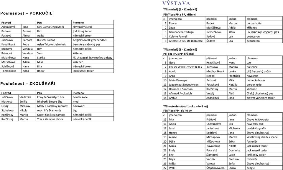 sheapeak-bay retrívra a dogy Maršálková Adéla Míša kříženec Soldánová Hana Rita německý boxer Tomaníková Anna Rocky jack russell terier Poslušnost ZKOUŠKAŘI Psovod Pes Plemeno Juříčková Vladimíra