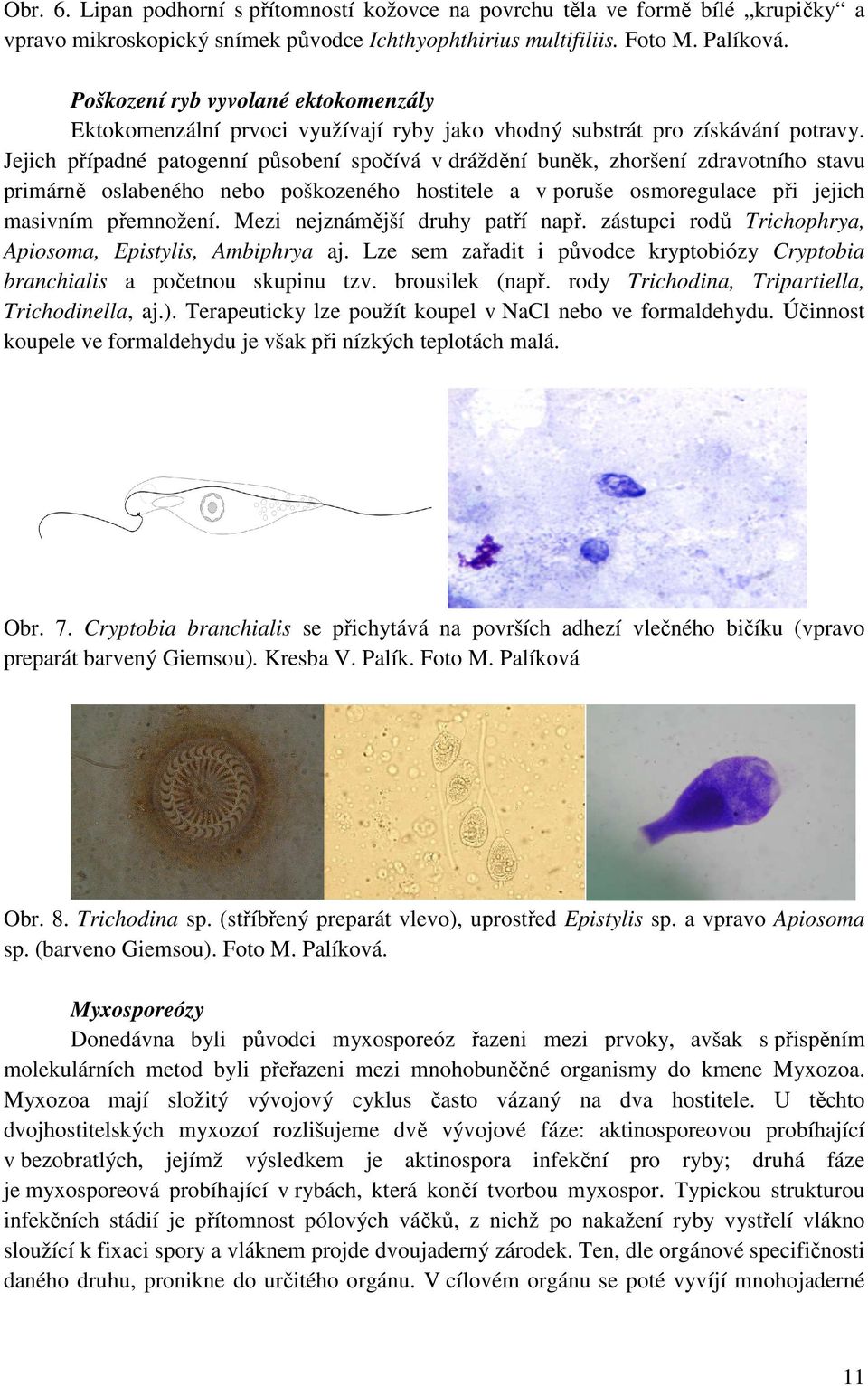 Jejich případné patogenní působení spočívá v dráždění buněk, zhoršení zdravotního stavu primárně oslabeného nebo poškozeného hostitele a v poruše osmoregulace při jejich masivním přemnožení.