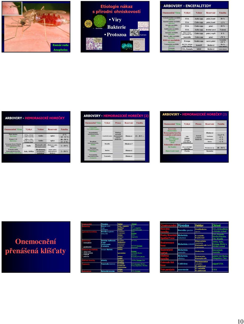 ptáci, koně % Západní koňská encefalitis USA Culex spp. ptáci, koně < % (alfavirus) St.Louis encefalitis (flavivirus) USA Culex spp.