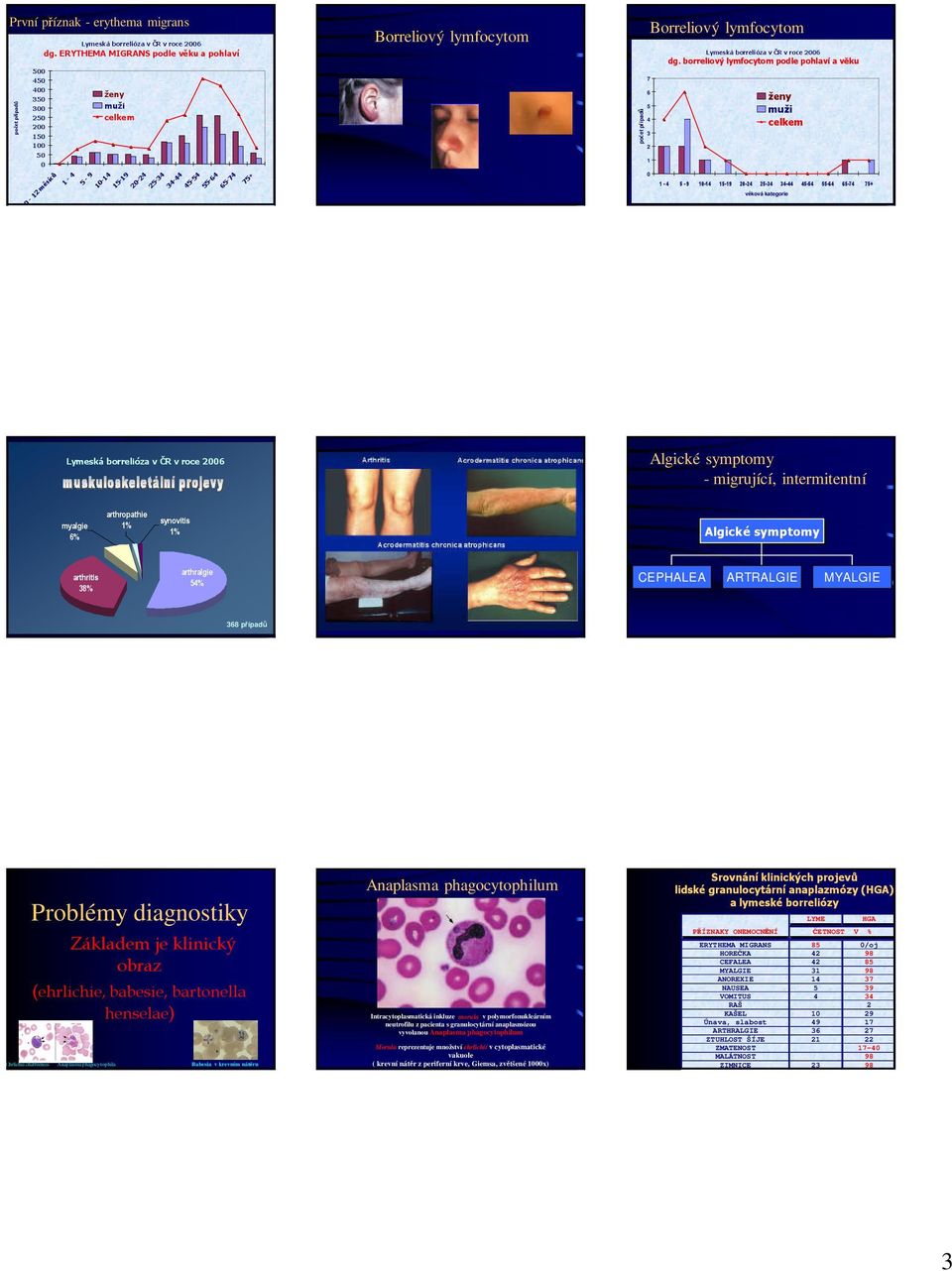 borreliový lymfocytom podle pohlaví a věku ženy muži celkem - - - - - - - - - -7 7+ věková kategorie Lymeská borrelióza v ČR v roce Algické symptomy - migrující, intermitentní myalgie % arthropathie