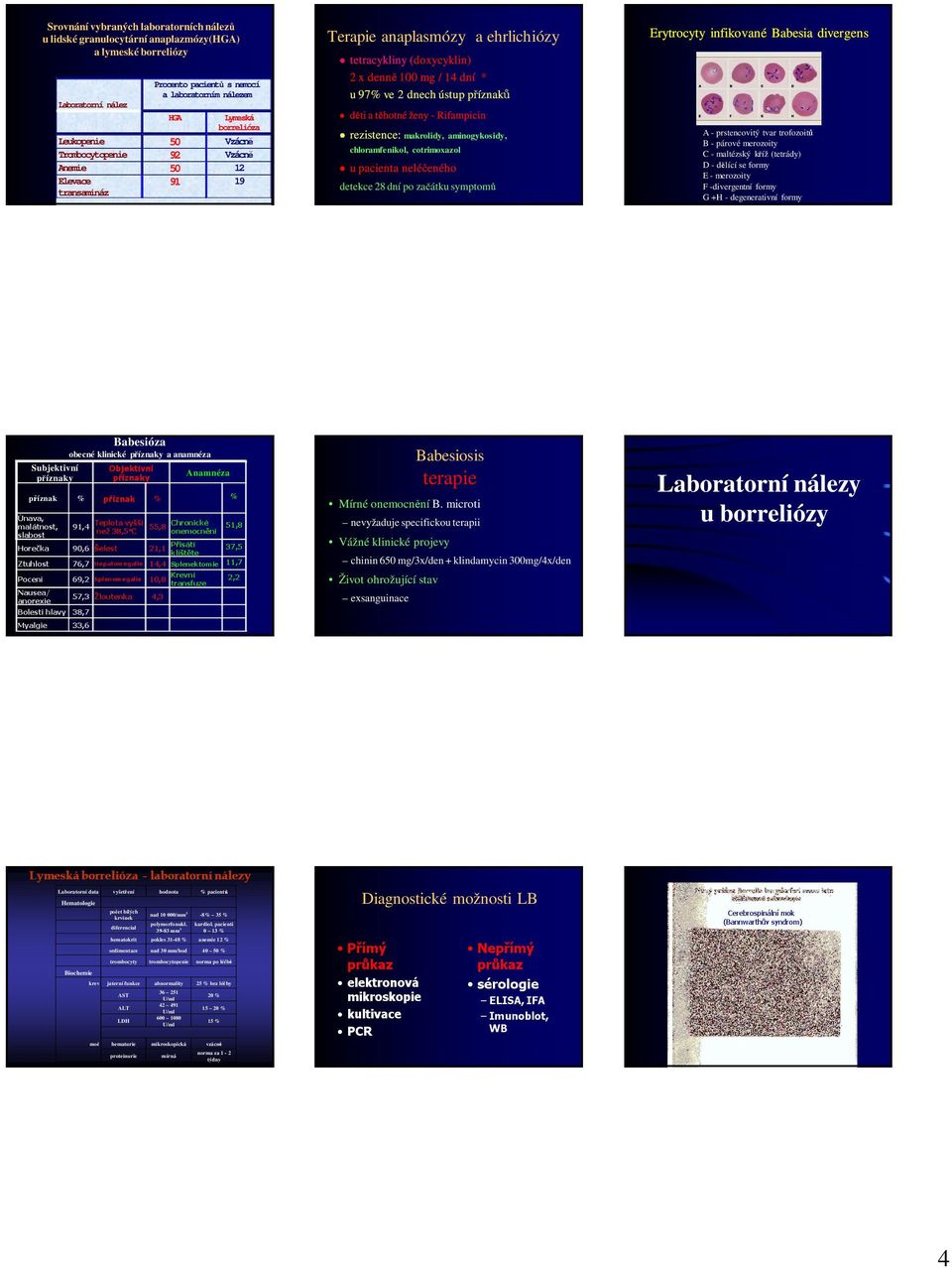 Rifampicin rezistence: makrolidy, aminogykosidy, chloramfenikol, cotrimoxazol u pacienta neléčeného detekce dní po začátku symptomů Erytrocyty infikované Babesia divergens A - prstencovitý tvar