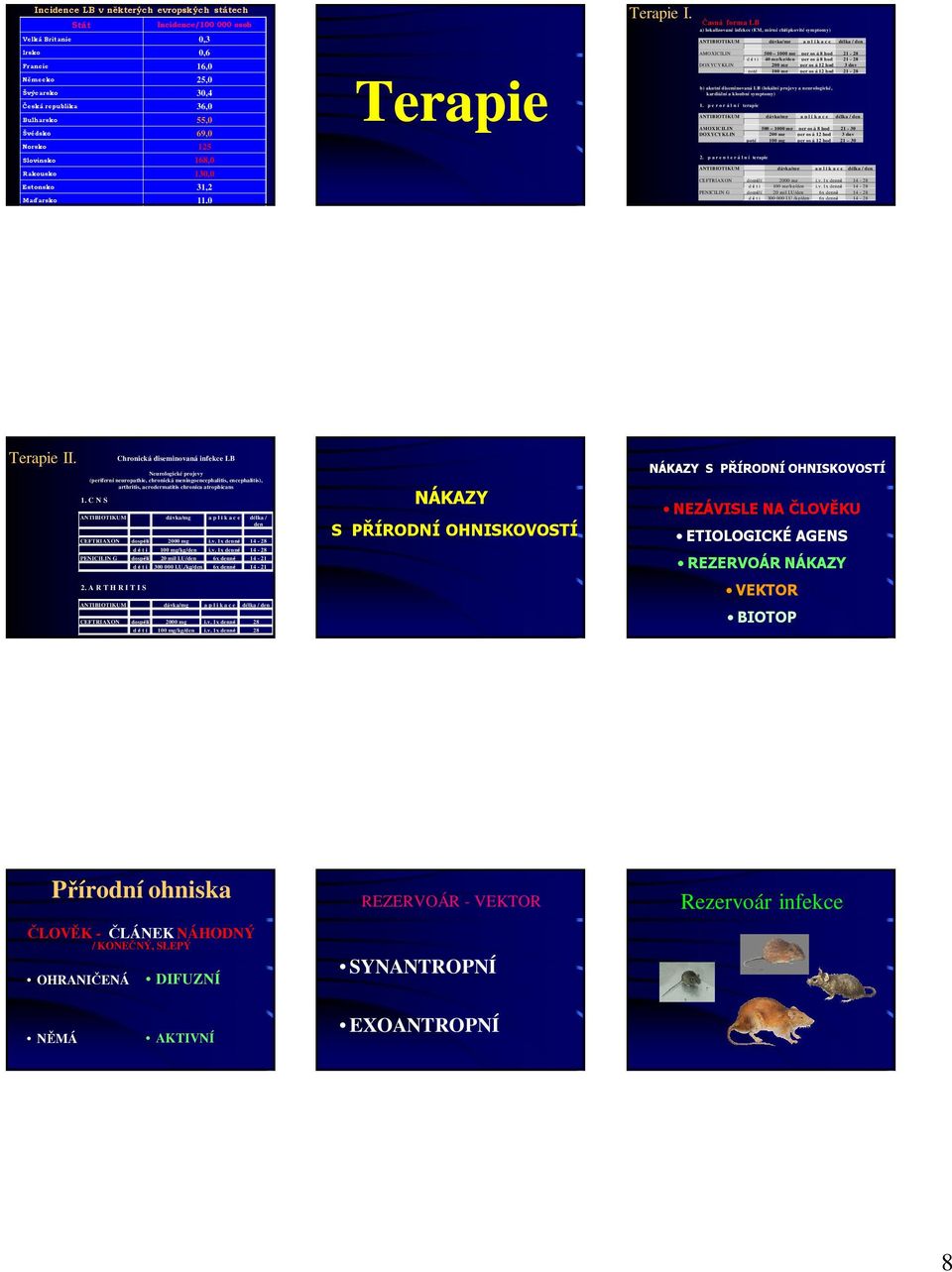 Časná forma LB a) lokalizované infekce (EM, mírné chřipkovité symptomy) ANTIBIOTIKUM dávka/mg a p l i k a c e délka / den AMOXICILIN mg per os á hod - d ě t i mg/kg/den per os á hod - DOXYCYKLIN mg