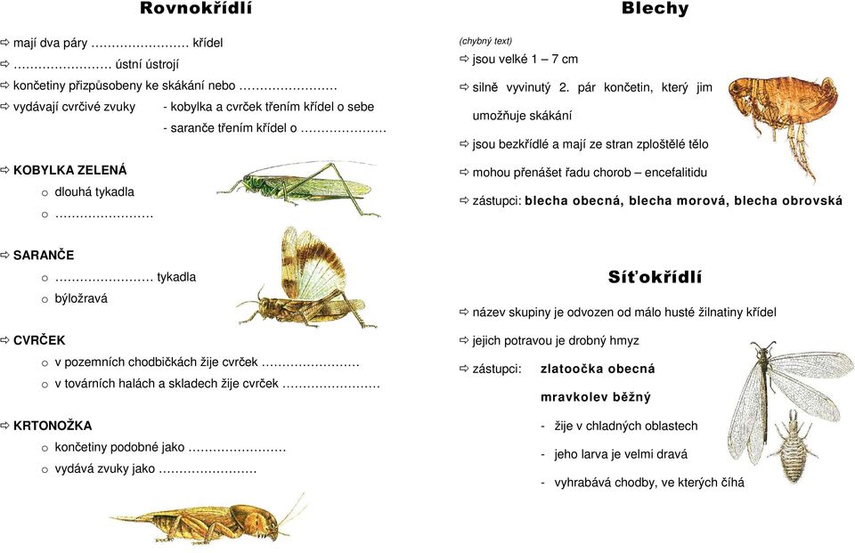 pár končetin, který jim umožňuje skákání jsou bezkřídlé a mají ze stran zploštělé tělo mohou přenášet řadu chorob encefalitidu zástupci: blecha obecná, blecha morová, blecha obrovská SARANČE o