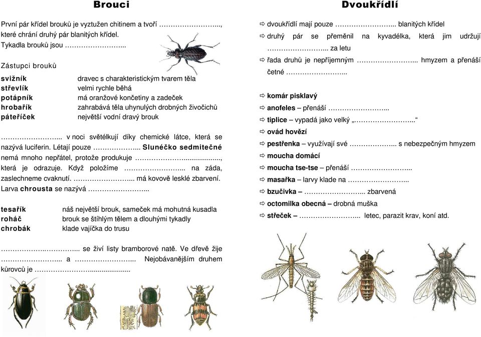 největší vodní dravý brouk... v noci světélkují díky chemické látce, která se nazývá luciferin. Létají pouze... Slunéčko sedmitečné nemá mnoho nepřátel, protože produkuje..., která je odrazuje.