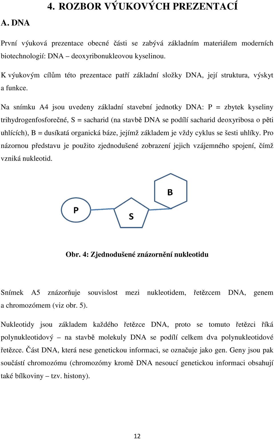 Na snímku A4 jsou uvedeny základní stavební jednotky DNA: P = zbytek kyseliny trihydrogenfosforečné, né, S = sacharid (na stavbě DNA se podílí sacharid deoxyribosa o pěti uhlících), B = dusíkatá