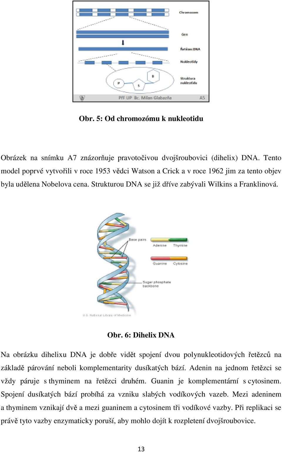 6: Dihelix DNA Na obrázku dihelixu DNA je dobře vidět spojení dvou polynukleotidových řetězců na základě párování neboli komplementarity dusíkatých bází.