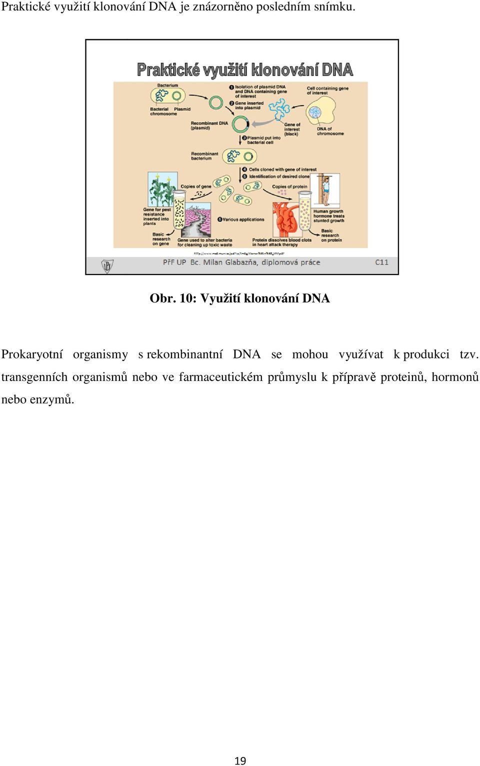 DNA se mohou využívat k produkci tzv.