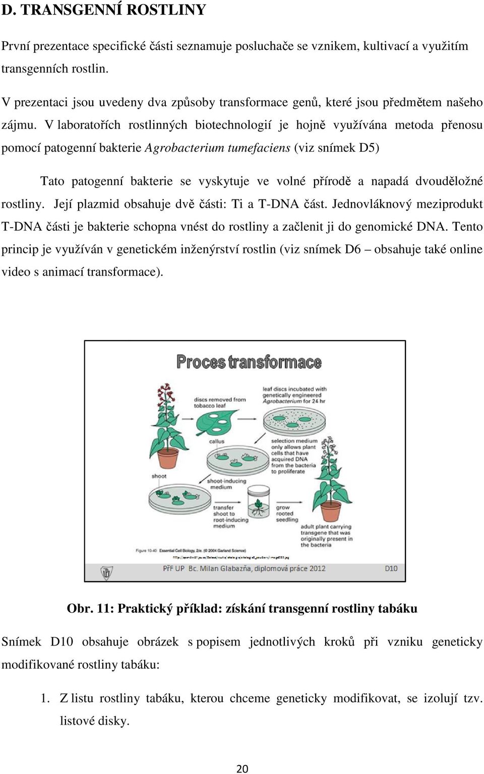 V laboratořích rostlinných biotechnologií je hojně využívána metoda přenosu pomocí patogenní bakterie Agrobacterium tumefaciens (viz snímek D5) Tato patogenní bakterie se vyskytuje ve volné přírodě ě