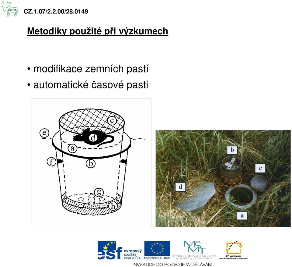 modifikace zemních