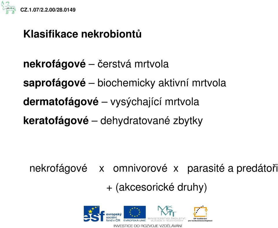 vysýchající mrtvola keratofágové dehydratované zbytky