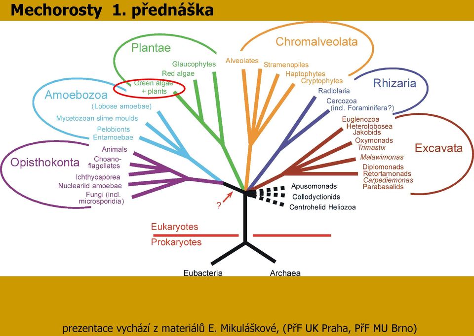 vychází z materiálů E.