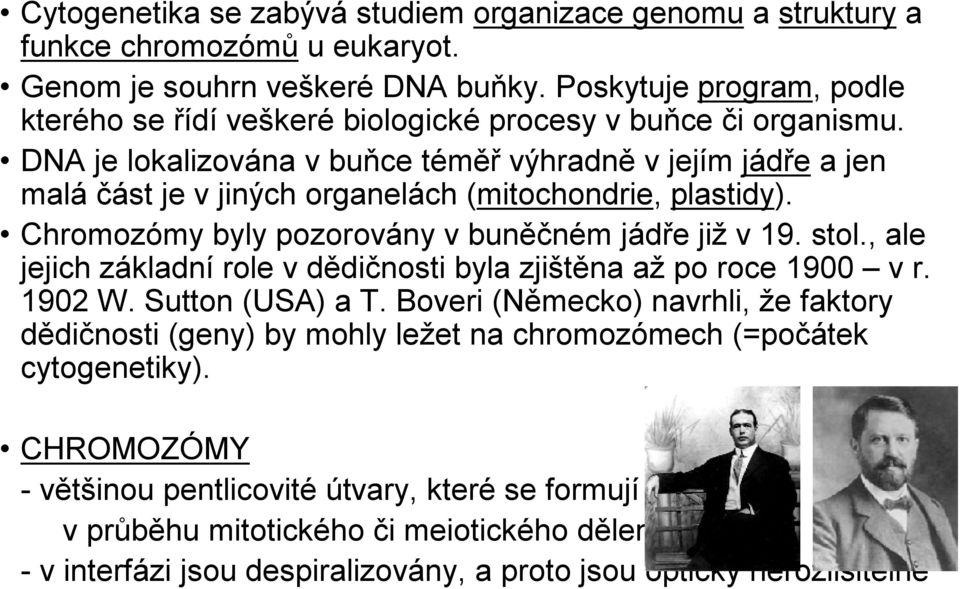 DNA je lokalizována v buňce téměř výhradně vjejím jádře a jen malá část je v jiných organelách (mitochondrie, plastidy). Chromozómy byly pozorovány v buněčném jádře již v 19. stol.