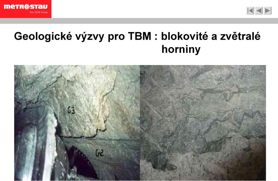 : blokovité a