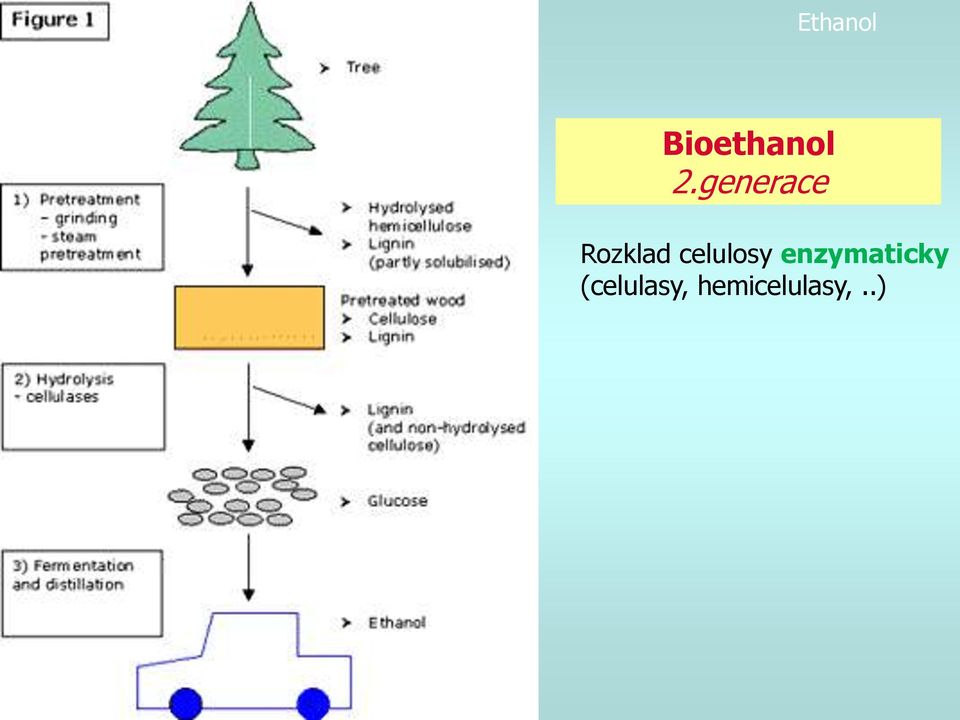 celulosy enzymaticky