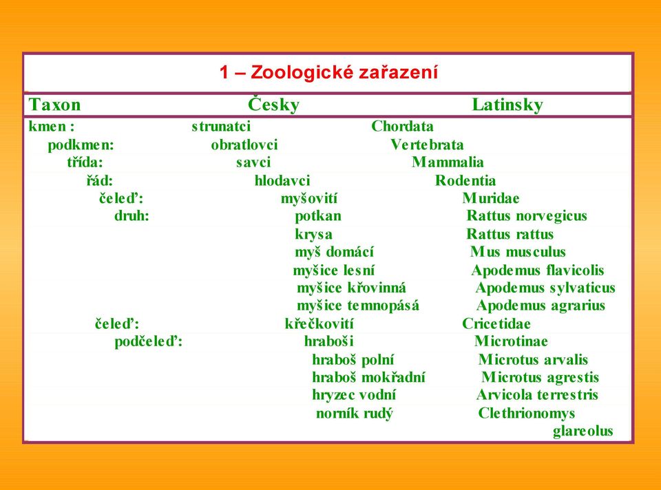 flavicolis myšice křovinná Apodemus sylvaticus myšice temnopásá Apodemus agrarius čeleď: křečkovití Cricetidae podčeleď: hraboši