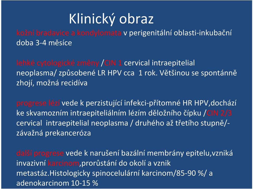 měsíce lehké cytologické změny /CIN 1 cervical intraepitelial neoplasma/ způsobené LR HPV cca 1 rok.