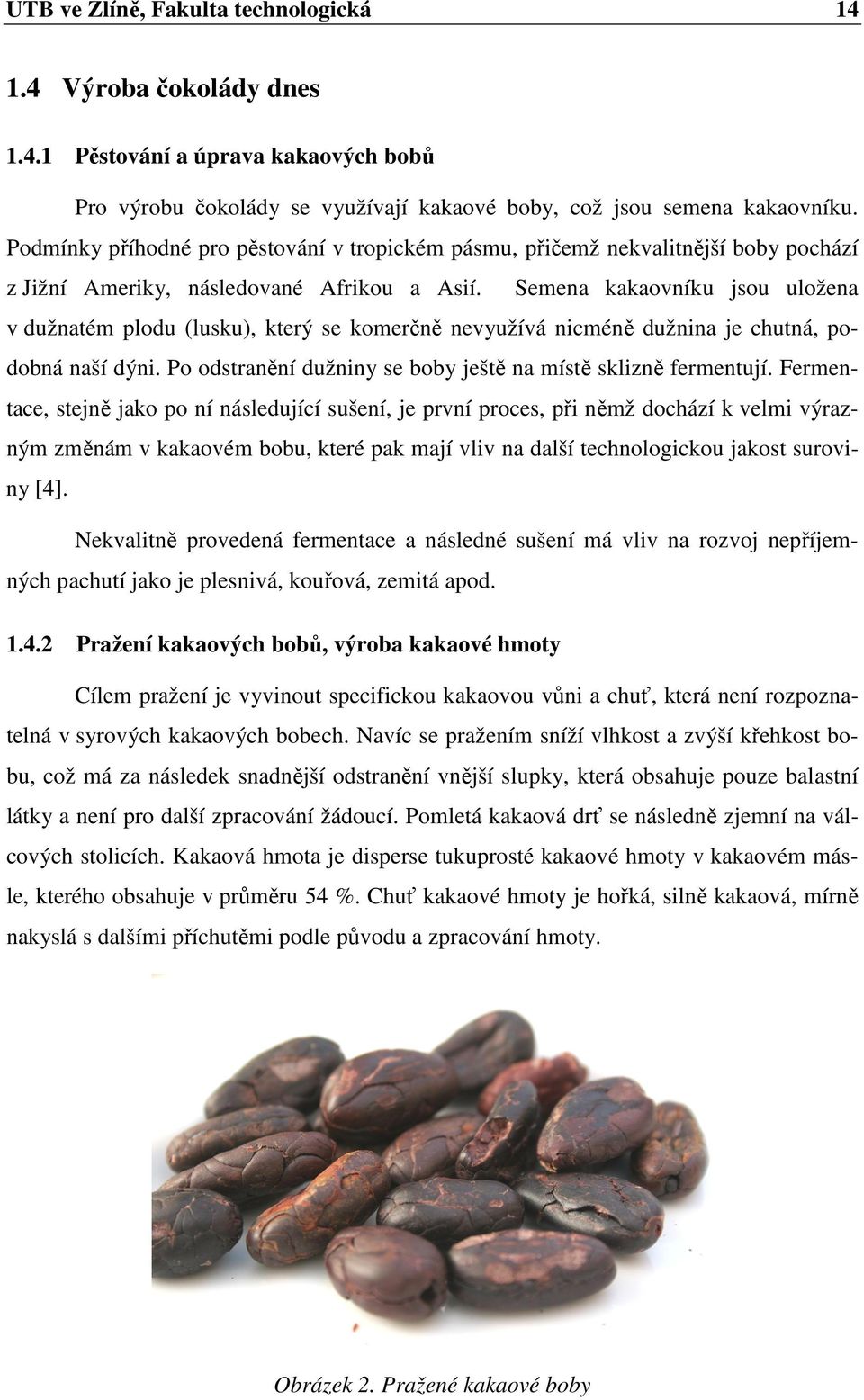 Semena kakaovníku jsou uložena v dužnatém plodu (lusku), který se komerčně nevyužívá nicméně dužnina je chutná, podobná naší dýni. Po odstranění dužniny se boby ještě na místě sklizně fermentují.